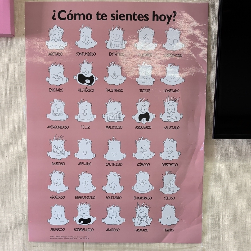 Pink Emotion Chart Poster En Español